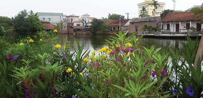 Cần lắm những mảng xanh
